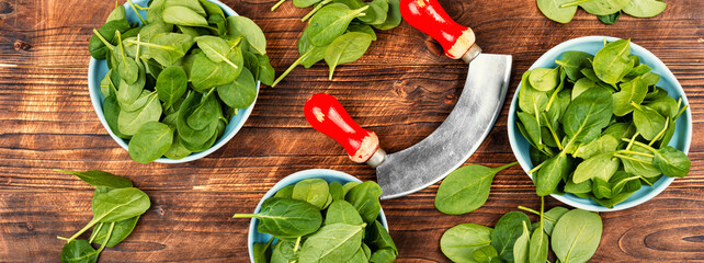 Fresh baby spinach leaves.