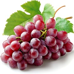 Fototapeta premium grapes bunch. Red grapes with leaf