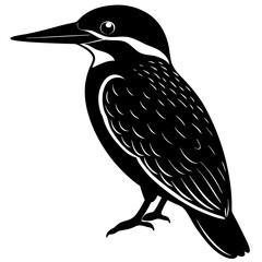 Common kingfisher Silhouette vector with white background