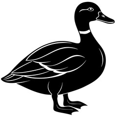 Mallard Silhouette vector with white background