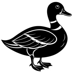 Mallard Silhouette vector with white background