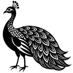 peafowl Silhouette vector with white background