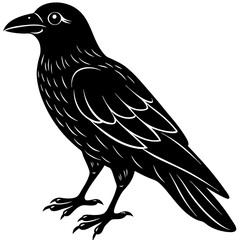 Crow Silhouette vector with white background
