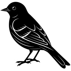 Bluebird Silhouette vector with white background