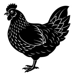 Chicken Silhouette vector with white background