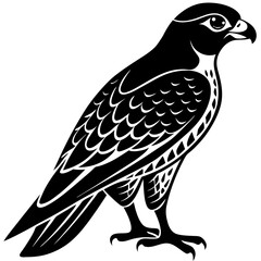 Fototapeta premium Falcon Silhouette vector with white background