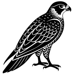 Fototapeta premium Falcon Silhouette vector with white background