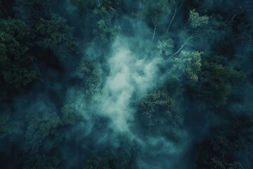 Aerial View of Misty Forest Canopy with Lush Greenery and Enveloping Fog in Serene Natural Landscape