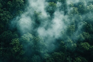 Obraz premium Aerial View of Lush Green Forest with Misty Fog Creating a Serene and Mysterious Atmosphere in a Dense Woodland Landscape