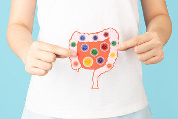 Probiotics health benefits. Intestine of woman with good bacteria set lactobacillus, lactococcus, propionibacterium, bifidobacterium, streptococcus thermophilus, bulgaricus. Healthy digestive systems.