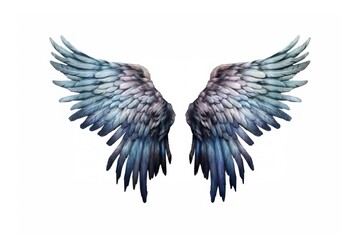 Obraz premium Black wing and body flying bird white background