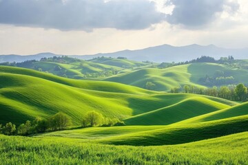 Obraz premium Grass hill landscape green countryside