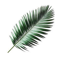 Fototapeta premium vibrant green palm leaf. showcasing its elongated shape and intricate fronds against a white background this depiction highlights the natural beauty and texture of the leaf. making it suitable for des