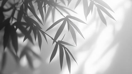 Close-up of bamboo leaves in soft light, tranquil and natural, minimalist aesthetic, serene and peaceful atmosphere