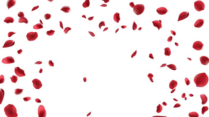 February 14 Valentine's day,Rose petals wedding or marriage background. holiday decoration. Invitation card, celebration party design