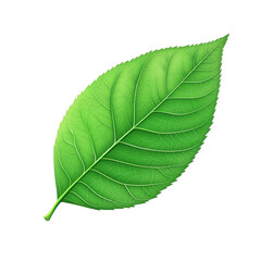 Obraz premium single. vibrant green leaf with intricate vein patterns. showcasing a natural and fresh appearance it serves as a representation of nature. growth. and environmental themes. making it suitable for var