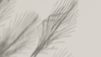 Obraz premium Unobtrusive natural pastel background with shadows on the wall, exterior - 3d render. Botanical empty podium with shadows from plants, palms, trees for product presentation, advertising.