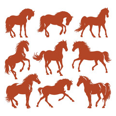 Obraz premium Horse vector design on a set with white background