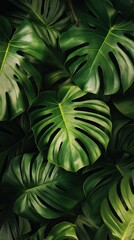 A tropical leaf pattern with monstera and palm leaves in green shades