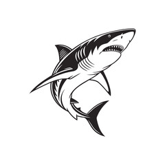 Great shark on white background