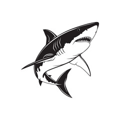 Great shark on white background