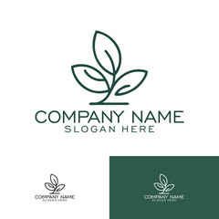 Logo leaf logo spa logo natural logo beauty