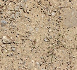 A close view of the hard dirt ground surface.