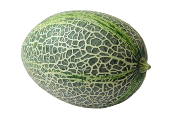 a whole melon with a textured green and pale yellow rind. showcasing its intricate network of lines this fruit is likely intended for culinary use. highlighting its natural beauty and freshness