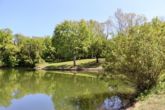 The peaceful pond in the park on a sunny day.
