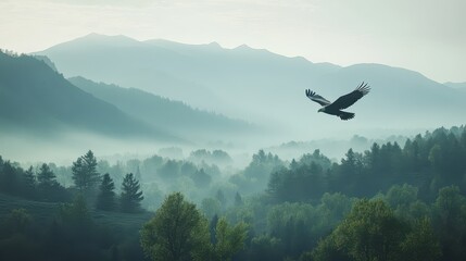 Fototapeta premium A majestic eagle glides effortlessly through the crisp morning air, soaring high above mist-covered mountains and vibrant, lush valleys bathed in soft sunlight