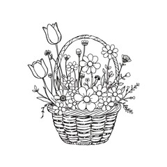 Spring Flowers in Woven Basket Hand Drawn Line Art Floral Design Coloring Page Nature Illustration