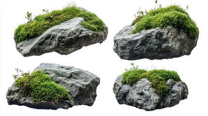 Natural Stones with Green Moss and Grass on Isolated White Background
