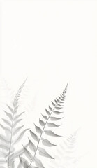 White background with exotic leaf shadows for product photos, etc