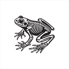illustration of a frog