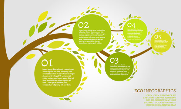 Beautiful bio infographics with a tree and a branch.