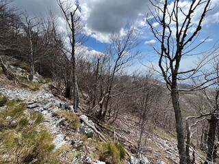 Premuzic hiking trail or Premuzic Trail - Velebit Nature Park, Croatia or Premuzic-Wanderweg or Premuzic's Trail (Pješački planinarski put Premužićeva staza - Park prirode Velebit, Hrvatska)