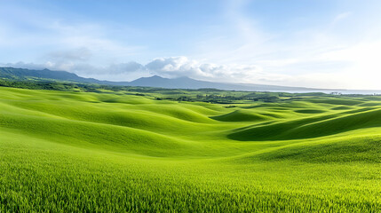 Obraz premium vast green pastures at Parker ranch in Waimea meetin the ocean at the horizon, Big Island, Hawaii