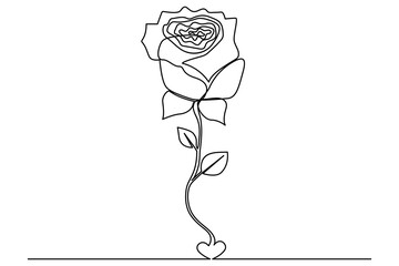Rose flower continuous single line art drawing of outline vector illustration