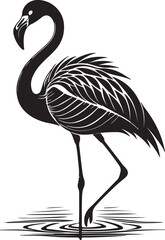 Fototapeta premium Isolated black bird icon Vector, black bird Silhouette,black bird icon set, black bird for logo,color black bird Vector illustration, Vector Graphic, EPS 10 , clip art work