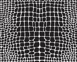 Seamless pattern of alligator skin on a white background	