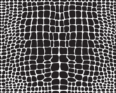 Seamless pattern of alligator skin on a white background	