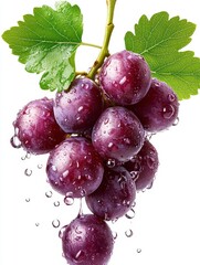 Fototapeta premium Fresh Red Grapes with Water Drops