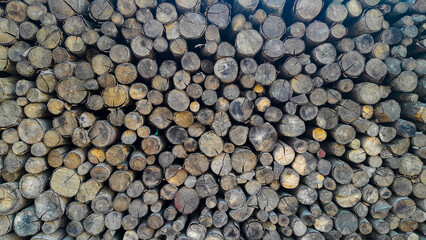 Stacked weathered dried hardwood logs