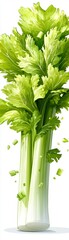 Obraz premium Fresh Celery Stalks with Leaves