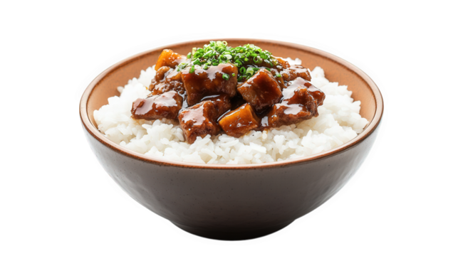 bowl of white rice topped with a savory beef dish. garnished with green onions the dish is presented in a simple. elegant manner. emphasizing the textures and colors of the food it conveys a sense of