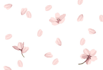 桜吹雪のイラスト素材
