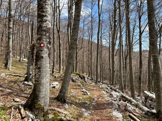 Premuzic hiking trail or Premuzic Trail - Velebit Nature Park, Croatia or Premuzic-Wanderweg or Premuzic's Trail (Pješački planinarski put Premužićeva staza - Park prirode Velebit, Hrvatska)