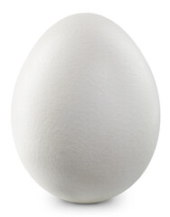 Egg on a white background. Egg with clipping path