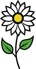 sunflower line art vector on white background . Sunflower vector.