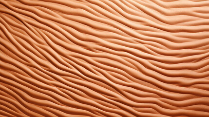 Wallpaper texture, the beautiful natural animal skin patterns